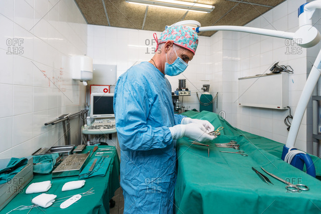 Veterinarian surgeon preparing tools for surgery before operation on a dog