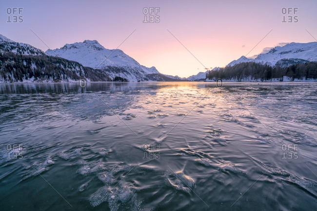 Tree branches trapped in ice under the frozen surface of Lake Sils at sunset, Engadine, Graubunden canton, Switzerland, Europe