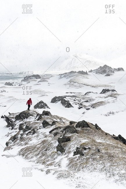 Hiker man walking on rocks during the Arctic snowstorm, Sandfjorden, Berlevag, Varanger Peninsula, Troms og Finnmark, Norway, Scandinavia, Europe