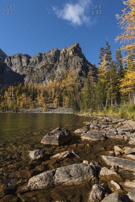 Arnica Lake in Autumn with Larch trees and Mountains, Banff National Park, UNESCO World Heritage Site, Alberta, Canadian Rockies, Canada, North America