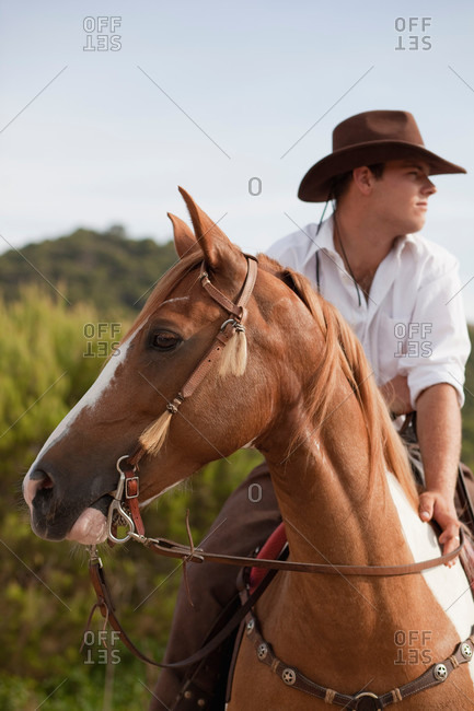 horse cowboy hat