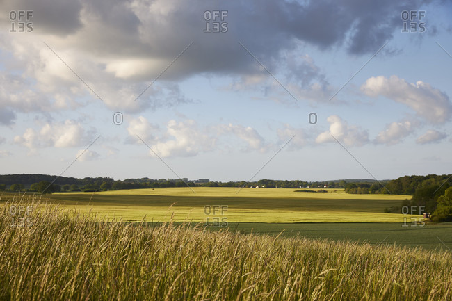 Germany, mecklenburg-west pomerania, landscape, agricultural landscape
