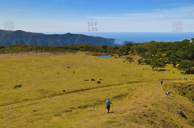 Hike in the fanal area to the laurel forest, unesco world heritage, madeira,