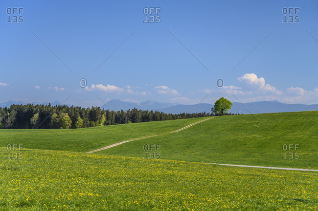 Germany, bavaria, upper bavaria, tiler land, dietramszell, foggenbeuern district, spring landscape against pre-alps