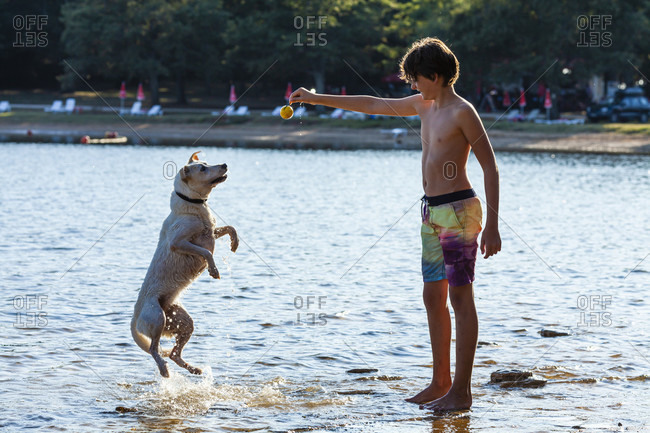 Boy, child, dog, sea, play, jump