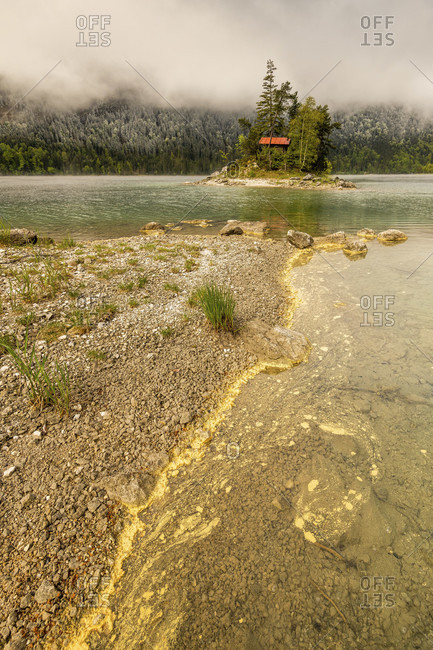 Yellow pollen from coniferous trees drifts on the banks of the eibsee in the wetterstein mountains in spring. in the background a small island with a log cabin and a red roof, as well as snow on the forest and overcast sky.