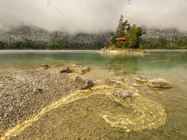 Yellow pollen from coniferous trees drifts on the banks of the eibsee in the wetterstein mountains in spring. in the background a small island with a log cabin and a red roof, as well as snow on the forest and overcast sky.