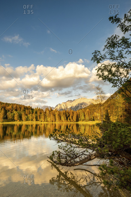 The evening sun illuminates the shores of the ferchensee, above mittenwald, with the karwendel in the background and a branch in the foreground. light clouds and otherwise blue sky underline the scenery.