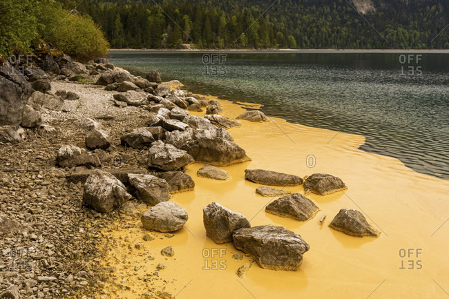 Pollen from spruces turns the banks of the eibsee at the zugspitze yellow, as if someone had poured buckets of paint into the beautiful natural lake. individual rocks protrude from it.