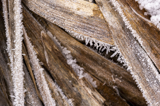 Ice crystals on a brown sign on the banks of the isar in the bavarian prealps.