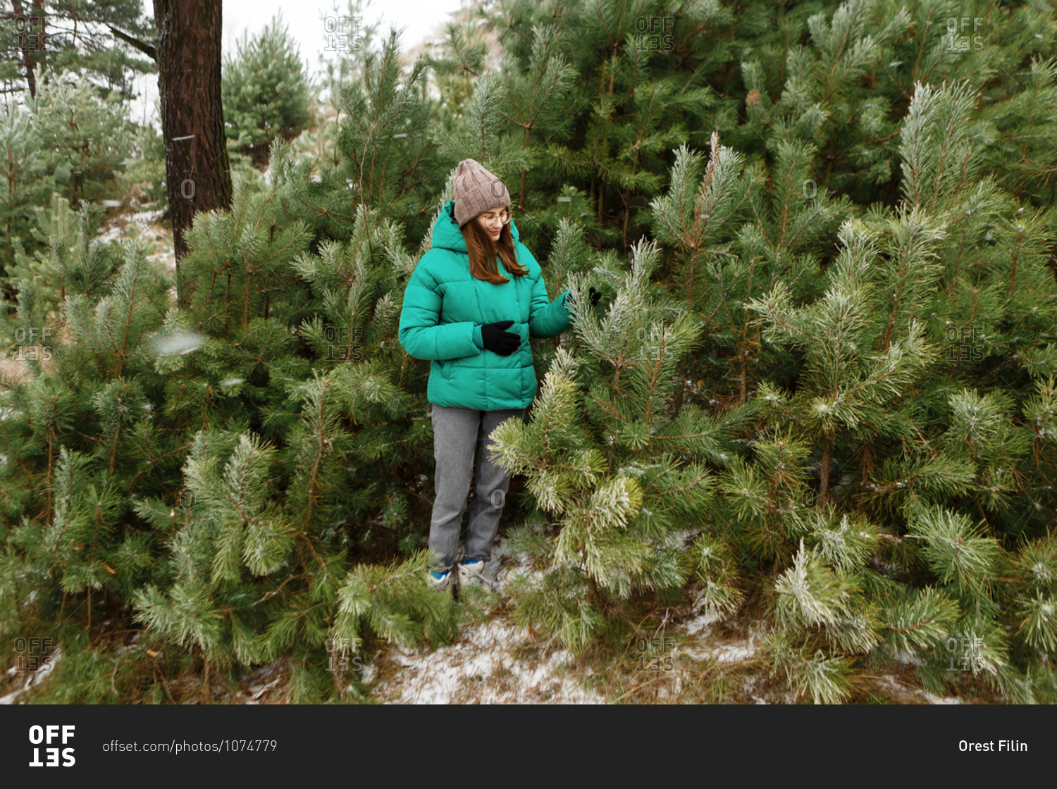 Young woman in green jacket touching pine\'s branches in the snowy hills
