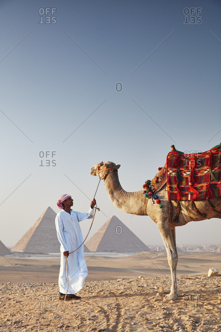 July 6, 2019: Bedouin with his camel in front of the Great Pyramids of Giza, Cairo