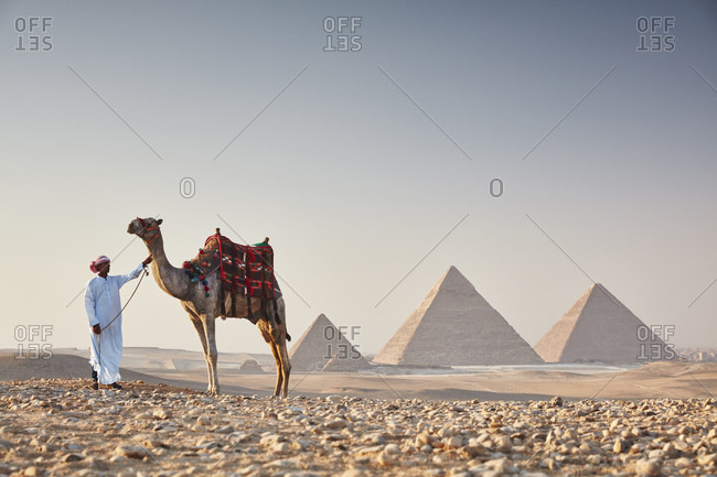 July 6, 2019: Bedouin with his camel in front of the Great Pyramids of Giza, Cairo