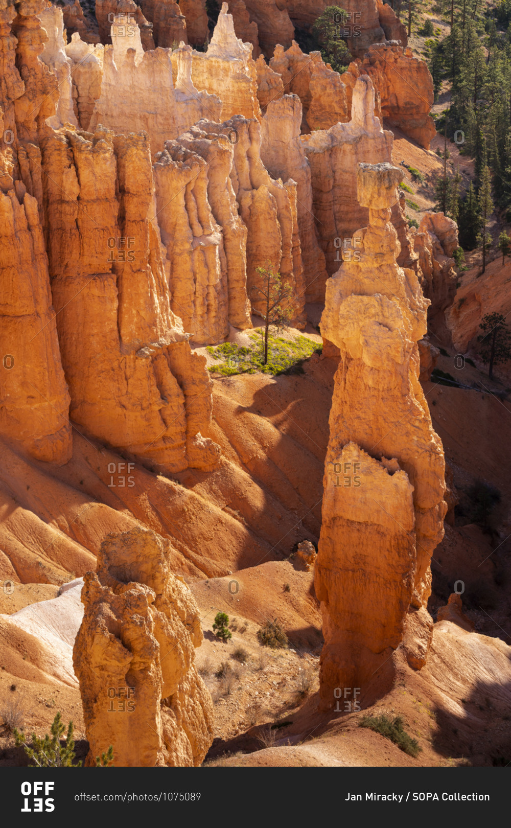 Elevated view of Thor\'s Hammer rock formation and a tree