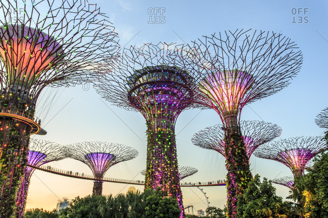 April 13, 2015: Gardens by the Bay trees, Singapore