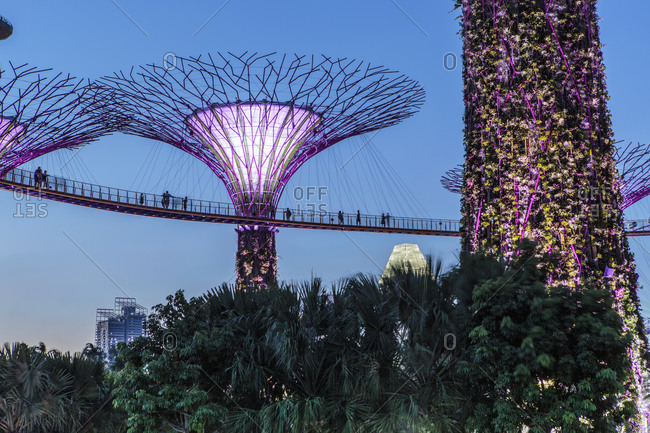 April 13, 2015: Gardens by the Bay trees, Singapore