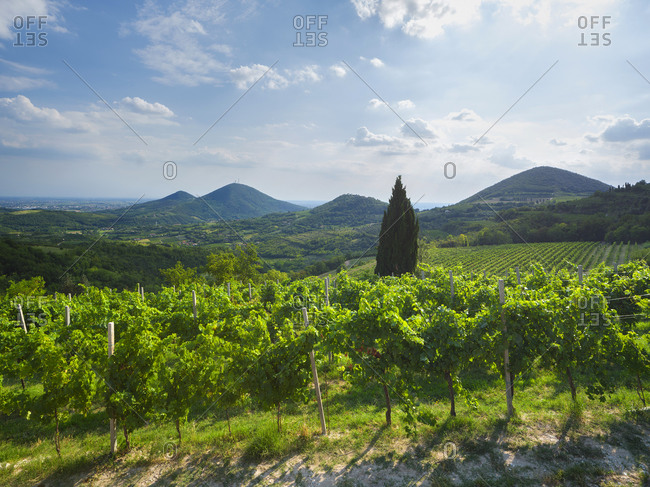 Hills seen from Mount Fasolo, Italy, Veneto