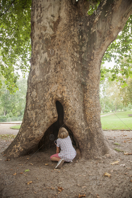 Boy looking at hollow opening of tree trunk in park