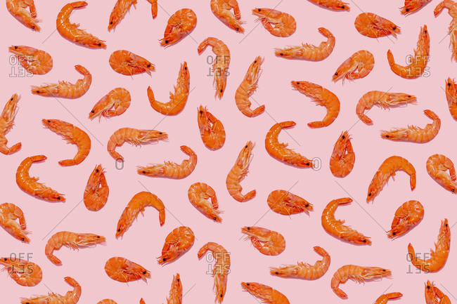 Abundance of shrimp on pink background