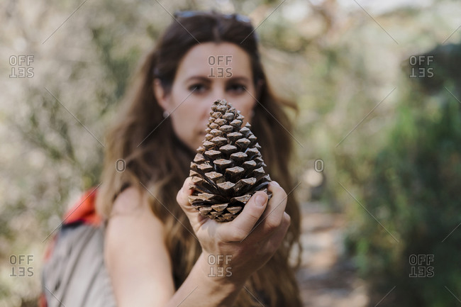 Trekker holding pine cone while standing in forest at La Pedriza- Madrid- Spain