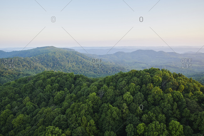 Aerial view of Appalachian forest shrouded in morning fog
