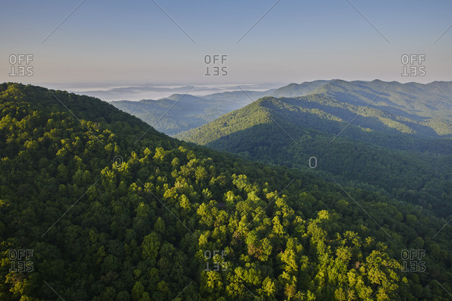 Aerial view of green Appalachian forest at foggy dawn