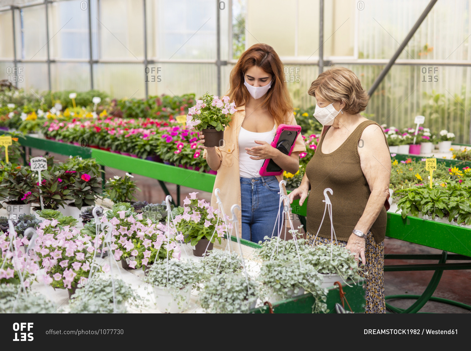 Businesswoman holding plant while standing by customer at garden center