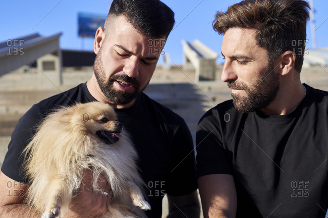 Gay couple with dog spending leisure time during weekend
