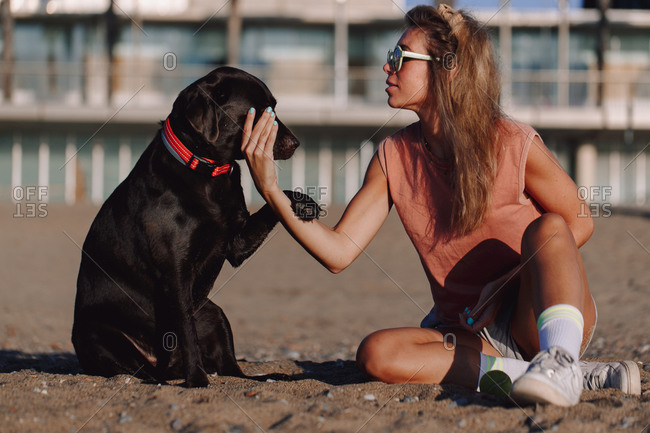 black lab dog female