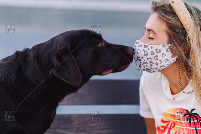 Side view of woman in protective mask tenderly touching noses with friendly Labrador Retriever during coronavirus pandemic in city