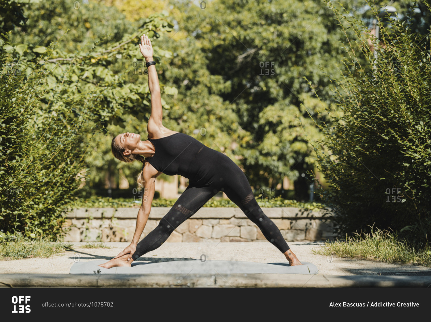 Full body of slim barefoot female in black activewear standing in Triangle position with arm extended while practicing yoga in green park in summer day