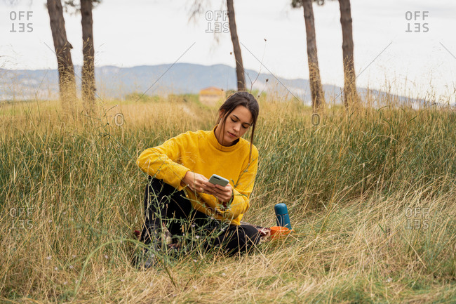 Charming female in yellow sweater sitting in dry field using smartphone at weekend in countryside