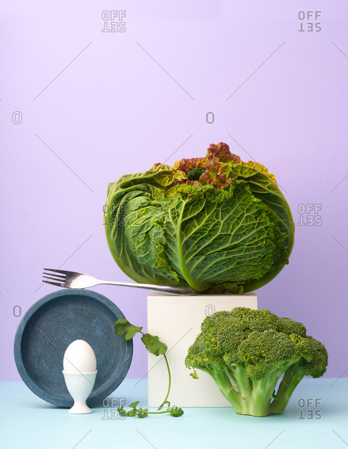 Still life with savoy cabbage, broccoli, egg and coriander