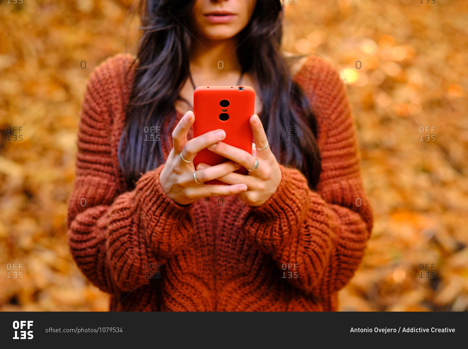 Cropped unrecognizable young female in warm red knitted pullover browsing mobile phone while standing in autumn park with fallen colorful leaves