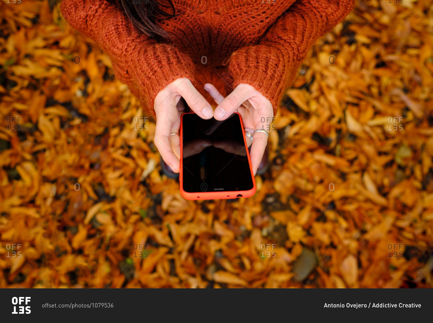From above cropped unrecognizable female in warm red knitted pullover browsing mobile phone while standing in autumn park with fallen colorful leaves