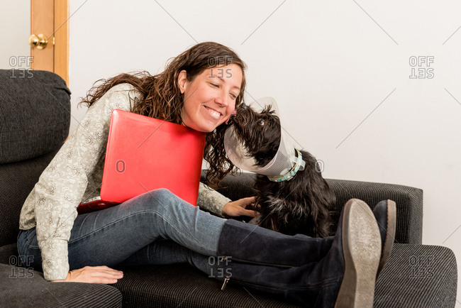 Side view of black fluffy dog in pet cone sitting on sofa and licking cheek of cheerful female owner working on laptop at home
