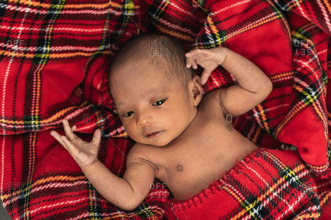 Tranquil adorable newborn baby lying on soft red tartan blanket