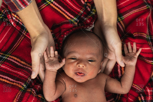 From above cropped mother hands holding tranquil adorable newborn baby lying on soft red tartan blanket