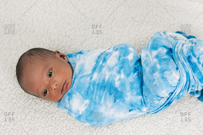 From above tranquil adorable newborn baby lying wrapped on blue cozy blanket