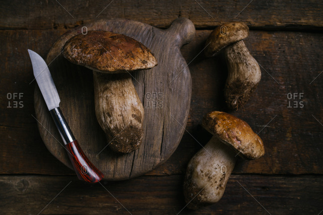 From above composition of raw whole porcini or cep mushrooms with knife and cutting board on wooden rustic table