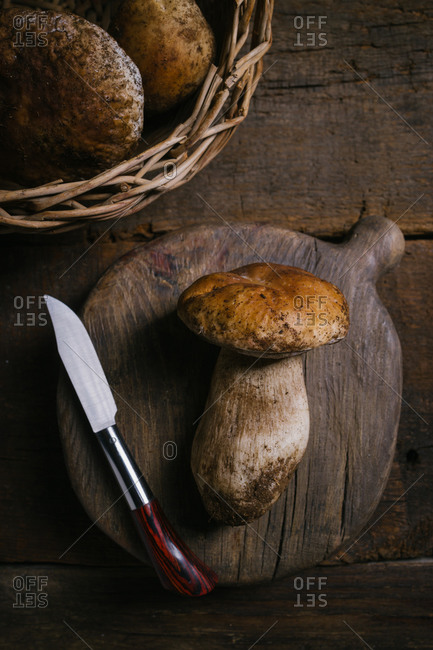 From above composition of raw whole porcini or cep mushrooms with knife and cutting board on wooden rustic table