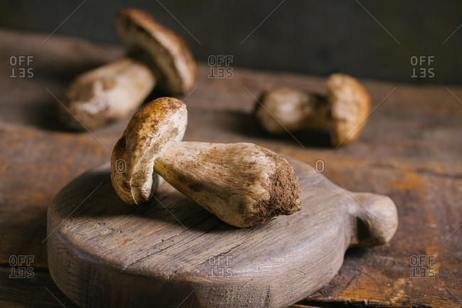 Composition of raw whole porcini or cep mushrooms on cutting board in wooden rustic table