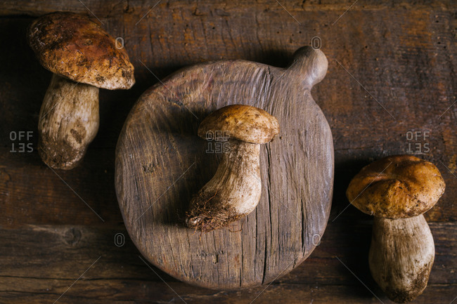 From above composition of raw whole porcini or cep mushrooms on cutting board in wooden rustic table