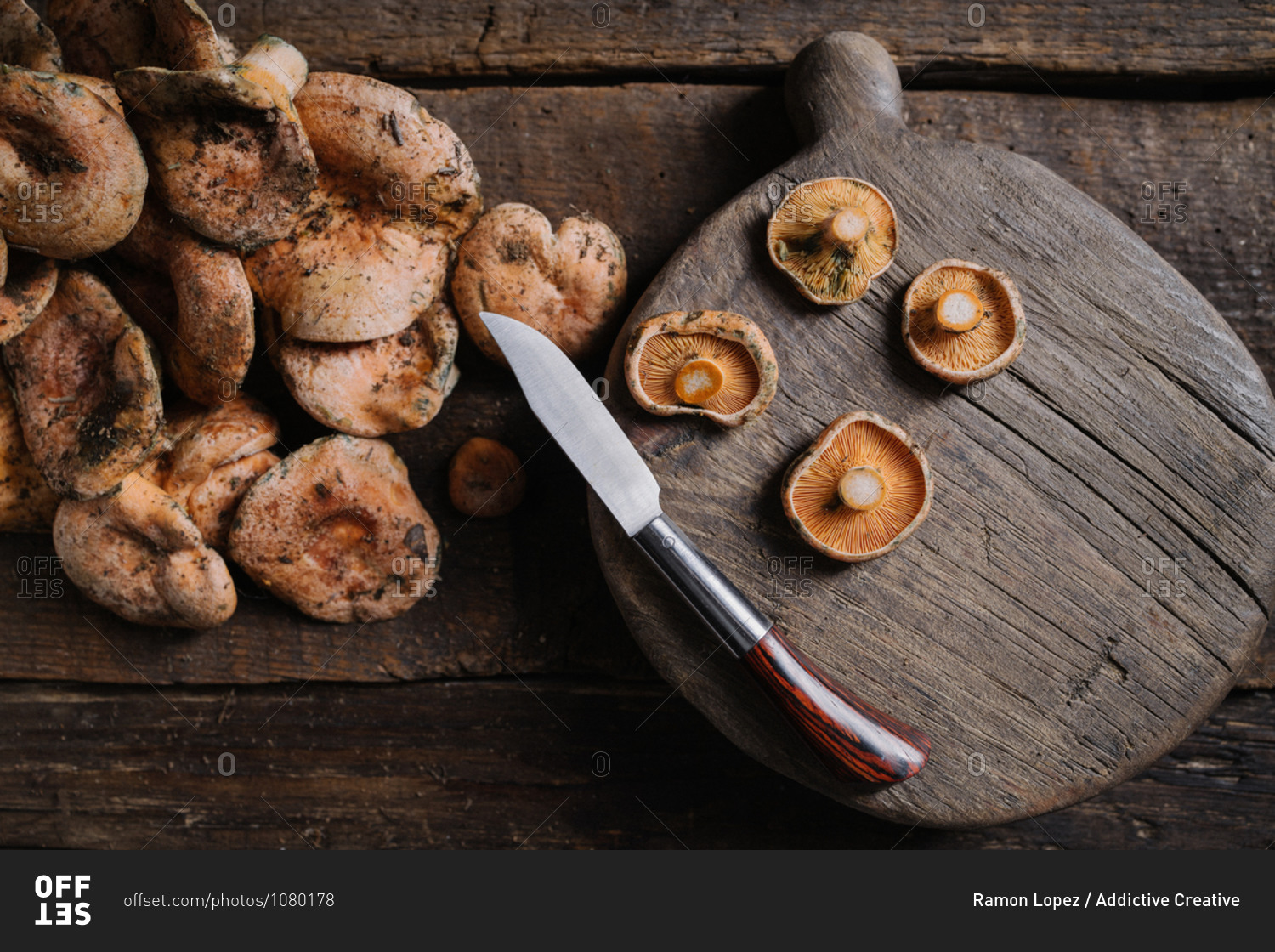 Top view heap of raw wild saffron milk cap or red pine mushrooms arranged on shabby wooden surface near knife and wooden cutting board