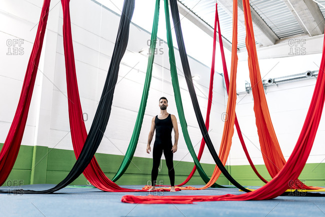 Full body male gymnast looking at colorful ribbons during aerial dance rehearsal in spacious studio