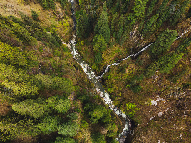 Drone view of clear stream flowing through alpine forest in autumn