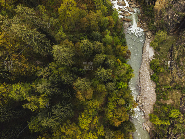 Drone view of green trees growing along Parvati River- India