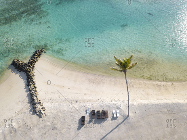 Single palm tree and sun loungers on tropical island- aerial view