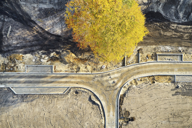 Infrastructure, structures, shapes, traces, earth colors, yellow tree top, development of a building area, road layout, single tree in the street area