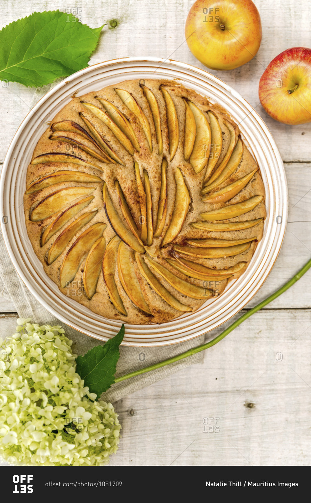 Apple pie baked in a round shape and decorated with apple slices, decorated with two apples and a white hydrangea flower